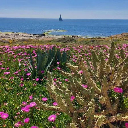 Maravillosa Terraza Con Vistas Al Mar, La Mata * Торевьиа