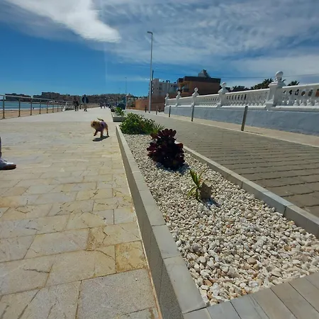 Maravillosa Terraza Con Vistas Al Mar, La Mata Апартаменты Торевьиа
